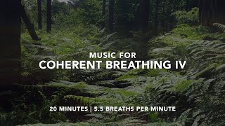 Music for Coherent Breathing IV  55 Breaths Per Minute  20 Minutes [upl. by Bibah]