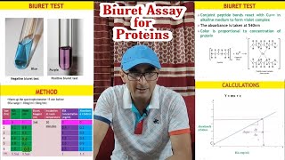 Biuret Test for Proteins  Protein assay  Estimation of Protein  Dr Nagendra Singh  PENS38 [upl. by Eiggem]