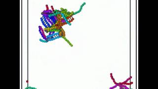 Selfassembly of DNA icosahedron [upl. by Retsel]