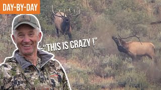 SUPER TAG Elk Hunt in Idaho  BULL ELK EVERYWHERE ep1 [upl. by Weintrob]