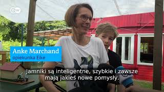 26 sierpnia  Międzynarodowy Dzień Psa Z wizytą u jamników [upl. by Aissila]