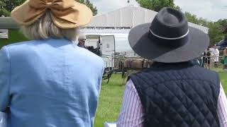 Pair of donkeys Arcadia and Wild Thyme at the Royal Cheshire Show [upl. by Neddra]