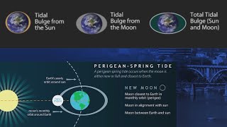 Zooming around with Zoe Perigean Spring Tide [upl. by Madelaine165]