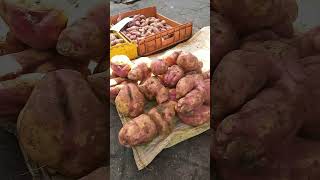 SWEET POTATO foryou shortsfeed foryou shortvideo and this short [upl. by Hanid]