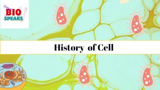 The History of Cells From Hooke to Cell Theory Explained  Cell  Robert  IGCSE  Grade 6 [upl. by Notsirt]