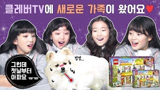 클레버tv에 새로운 가족이 왔어요♡ 그런데 첫날부터 아파요 ㅠㅠ 어떻게 해야될까요 LEGO Friends  클레버TV [upl. by Atteynek]