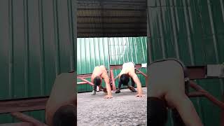 khaotic push ups pushOnTheJob OneRep christianGodin [upl. by Ezarra]