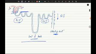 Antidiabetic Drugs P1 [upl. by Gildea381]