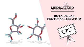 RUTA DE LAS PENTOSAS FOSFATO Fase No Oxidativa [upl. by Refitsirhc620]