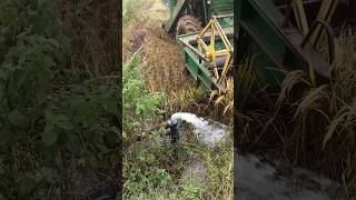 John Deere harvesting reels trending farming folksong harvester harvesting [upl. by Assilem]