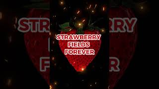 THE BEATLES STRAWBERRY FIELDS LYRICS SHORT [upl. by Lemieux952]