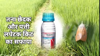 Syngenta Incipio। New Insecticide। [upl. by Marabel]