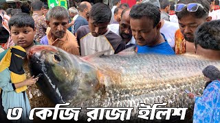 পদ্মার টাটকা রাজা ইলিশ কিনতে হুমড়ি খেয়ে পড়েছে ছেলে মেয়ে একসাথে  সস্তায় পদ্মার ইলিশ বিক্রি হচ্ছে [upl. by Nishom]