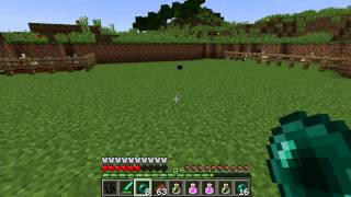 Minecraft Blocks amp Items Endermite [upl. by Karlik]