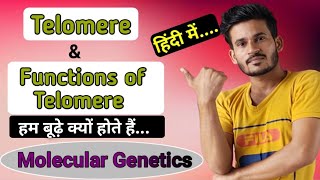 Telomere and Functions of Telomere  हम बूढ़े क्यों होते हैं  Molecular Genetics [upl. by Paver357]