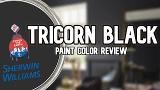 Painting a Whole Room With The Worlds Blackest Paint Musou Black [upl. by Roselani654]