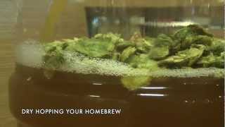 Homebrew HowTo Dry Hopping Your Beer [upl. by Sender]