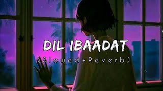 NDil Ibaadat SlowedReverb  Pritam amp KK  Tum Mile  relax shambhu Textaudio [upl. by Anitnatsnok175]