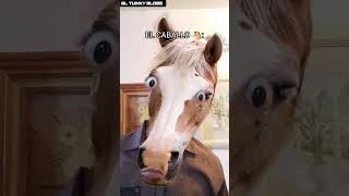 EQUITACION VEGANA 🤨🐴 shortyoutube equitation humor parodia méxico [upl. by Tobey]