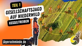 🐰Gesellschaftsjagd auf Niederwild  Kesseltreiben Teil 12 🐰 Jagdpraxis leicht erklärt [upl. by Nahej]