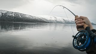 Aldri før har jeg opplevd så godt fiske i sjøen  Utmarka S03E07 [upl. by Rusel]