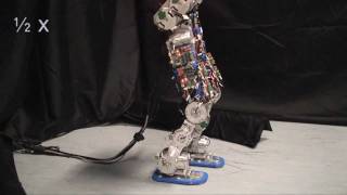 Compliant humanoid robot COMAN learns to walk efficiently [upl. by Nhguav459]