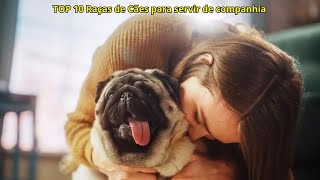 OS TOP 10 MELHORES CÃES DE COMPANHIA [upl. by Virgie]