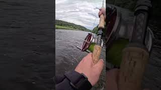 Spey casting is hard but don’t give up fishing flyfishing scotland river [upl. by Maggi]