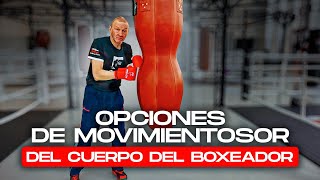 COMBINACIONES DE PERCUSIÓN Opciones de movimientos del cuerpo del boxeador [upl. by Lednic380]