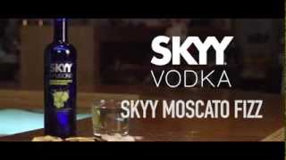 Easy Mix Cocktail Recipe HOW TO MIX quotSKYY MOSCATO FIZZquot Skyy Vodka Infusions [upl. by Ayanal]