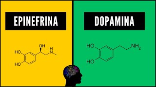 🧠¿Qué es la Epinefrina  ✅¿Qué es la ADRENALINA  ✅¿Qué es la DOPAMINA [upl. by Ahsaercal23]