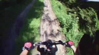 MTB Freeride Downhill Lunz am See [upl. by Rodoeht]