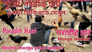 Poradih Haat  murga market Kukru Haat  Balarampur HaatRecent murga market price update in India [upl. by Intyrb]