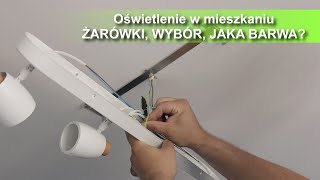 Oświetlenie mieszkania domu Lampy jakie żarówki  montaż 🛠 Philips PILA [upl. by Nimrahc735]