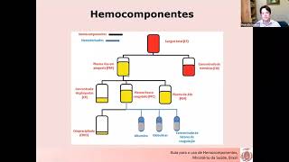 2 Hemocomponentes e hemoderivados [upl. by Baudelaire]