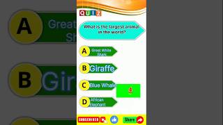 Which is the largest animal in the world gk quiz question student education gkfacts shorts [upl. by Lanni]