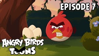 Angry Birds Toons  Just So  S2 Ep7 [upl. by Ennaylil325]