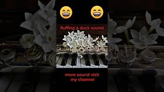 fluffing a duck funny sound 😆😆 copyright free sound copyrightfree freemusic [upl. by Anawek281]