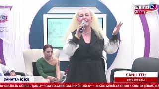 NEVİN KAYADİBİ BİTLİSTE BEŞ MİNARE [upl. by Annoya]