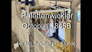 Palettenwickler Haloila Octopus 1845B [upl. by Any]