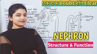 Nephron  Structure amp Function  Life Process  Easy Explanation  Biology Class 10th [upl. by Ramar]