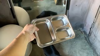 STAINLESS STEEL BENTO PARTITIONED DINNER PLATE [upl. by Nrev278]