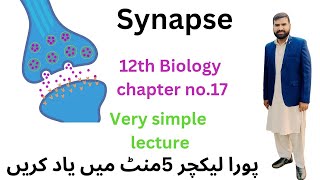 synapse 12 Class biology  synapse in Urdu Hindi 2ndyearbiology [upl. by Lidaa]