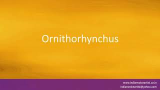 How to pronounce quotOrnithorhynchusquot [upl. by Atikim]