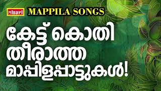 Mappilapattukal  Mappila Pattukal Malayalam  Malayalam Mappila Songs  Old Mappilappattukal [upl. by Cappella]