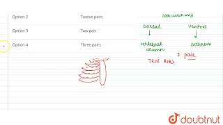 The number of bicephalic ribs in human are  12  NTA NEET SET 45  BIOLOGY  NTA MOCK TESTS EN [upl. by Kenweigh219]