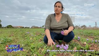 Vivez la Vendée  Elle cultive le safran l’épice la plus chère du monde [upl. by Ahcsas]