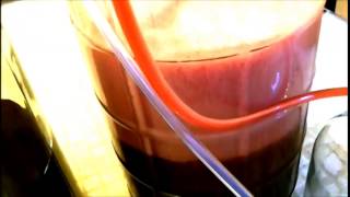 Homemade Blackberry Wine  Degassing and Clarify [upl. by Barber]