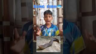 Lungfish are freshwater vertebrates belonging to the class Dipnoiblooming school videoviral [upl. by Idoj64]