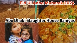 Eid Ul Adha Mubarak 1st day 2024  AbuDhabi Slaughter House Baniyas  Masaledar Soft Kaleji Recipe [upl. by Jelene]